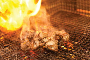 F{ 刢hǂ ē 刢h{ ē l 500g ×3  F{ v[g Mtg 蕨  LO lC lΉ   Yn j