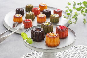 u  WF GMXL[v  ~jJk VREt{[YEEIW×e5(v20) mXC[c s v[g Mtg 蕨  LO lC l