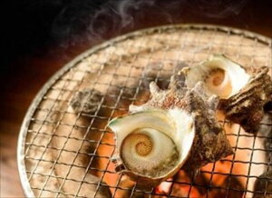 冷凍 サザエ サザエ 1kg(8〜12個) 生冷凍 海産品 徳島県 プレゼント ギフト 贈り物 贈答 記念日 人気 熨斗対応 名入れ 送料無料 産地直送 内祝い