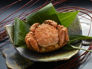 kCY {CтɎp 350g×1t I уKj CYi kC v[g Mtg 蕨  LO lC lΉ   Yn j