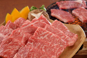 Y јa ē ēpiEojv250g  v[g Mtg 蕨  LO lC lΉ   Yn j