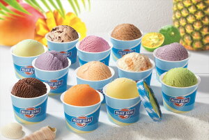  u[V[ ACX iojA`RAXgx[AsX^`IAojNbL[AExAgCA񂷂AV[N[T[AꍕA}S[ApC