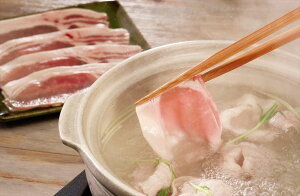  MBIC Ԃ Ԃԗpi[Xj500g  쌧 v[g Mtg 蕨  LO lC lΉ   Yn