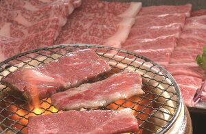 Y јa ē o 650g  v[g Mtg 蕨  LO lC lΉ   Yn