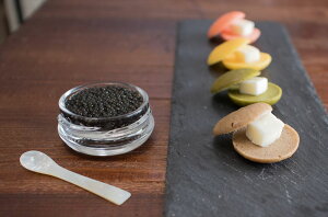 1983 JCAVIAR JtujZbg LrA12gAuj4×2Ao^[8g CYi {茧 v[g Mtg 蕨  LO lC lΉ   Yn