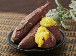  uS΁v g͂邩 Ă 300gx6 v[g Mtg 蕨  LO lC lΉ   Yn