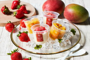 _ސulCp[NzeďCv ptFACX Mtg 8 ptFACXiojC`SA}S[j×e4 ACX _ސ쌧 v[g Mtg 蕨  LO lC l