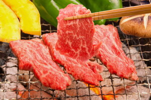 _Ε^ꋍƌF{ēZbg v[g Mtg 蕨  LO lC j lΉ   Yn