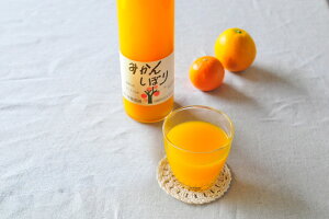 a̎R uɓ_v 100%sAW[X݂3{Zbg v[g Mtg 蕨  LO lC j lΉ   Yn