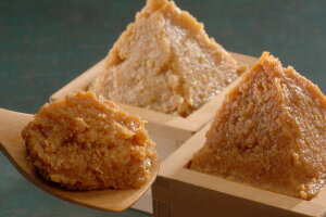  u㍂n݂v MBX܂2kg v[g Mtg 蕨  LO lC j lΉ   Yn