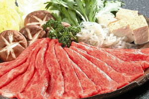 ߍ]₫EԂԗp v[g Mtg 蕨  LO lC j lΉ   Yn