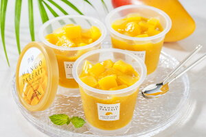 VFtEAT}mَqH[ }S[ptFi戵ԁF6/13`8/7j v[g Mtg 蕨  LO lC j lΉ   Yn