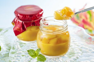   WF GMXL[ }S[vi戵ԁF6/13`8/7j v[g Mtg 蕨  LO lC j lΉ   Yn