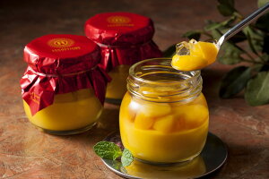  u  WF GMXL[v }S[v v6 v }S[i戵ԁF11/16`12/j v[g Mtg 蕨  LO lC j lΉ  