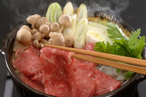  uuv ߍ]₫Ԃԗp v[g Mtg 蕨  LO lC j lΉ   Yn