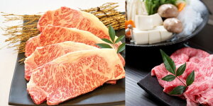  uuv ߍ]ĂԂԗpEXe[L v[g Mtg 蕨  LO lC j lΉ   Yn