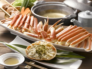 {C킢Ɏp v[g Mtg 蕨  LO lC j lΉ   Yn