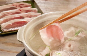 쌧YSPF؂Ԃ v[g Mtg 蕨  LO lC j lΉ   Yn