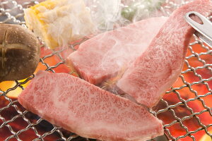 O򋍌[Xē v[g Mtg 蕨  LO lC j lΉ   Yn