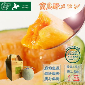 【数量限定】 【送料無料】 【JAふらの直営店】 富良野メロン 秀品 1玉入り 約1.6kg （約1.6kg × 1玉） 赤肉 ギフト プレゼント お中元 御中元 暑中見舞い 残暑見舞い 贈答 お祝い お礼 内祝 熨斗 のし ふらの 北海道 フルーツ 高級 直送 産地直送 直売 JA 令和7年産