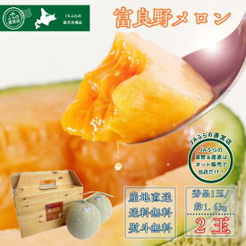 【数量限定】 【送料無料】 【JAふらの直営店】 富良野メロン 秀品 2玉入り 約3.2kg （約1.6kg × 2玉） 赤肉 ギフト プレゼント お中元 御中元 暑中見舞い 残暑見舞い 贈答 お祝い お礼 内祝 熨斗 のし ふらの 北海道 フルーツ 高級 直送 産地直送 直売 JA 令和7年産