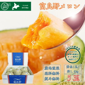 【数量限定】 【送料無料】 【JAふらの直営店】 富良野メロン 秀品 5玉入り 約8kg （約1.6kg × 5玉） 赤肉 ギフト プレゼント お中元 御中元 暑中見舞い 残暑見舞い 贈答 お祝い お礼 内祝 熨斗 のし ふらの 北海道 フルーツ 高級 直送 産地直送 直売 JA 令和7年産