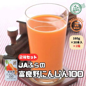 富良野にんじん100　30本入【2箱】 （ 富良野 JAふらの 北海道 野菜 飲料 健康 無添加 にんじんジュース 野菜ジュース ）
