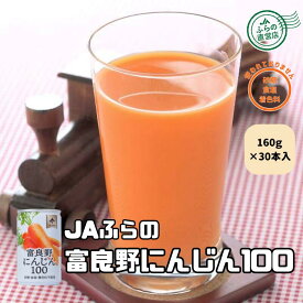 富良野にんじん100　30本入 （ 富良野 JAふらの 北海道 野菜 飲料 健康 無添加 にんじんジュース 野菜ジュース ）