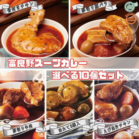 【組み合わせ自由】10個入 選べる 富良野スープカレー5種類 （ 富良野 ふらの JAふらの 北海道 国産 野菜 食品 詰合せ 備蓄 非常食 ご当地 無添加 レトルト スープカレー ）