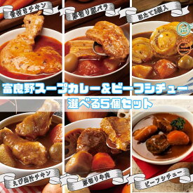 【組み合わせ自由】5個入 選べる 富良野スープカレー5種類&ビーフシチュー （ 富良野 ふらの JAふらの 北海道 国産 野菜 食品 詰合せ 備蓄 非常食 ご当地 無添加 レトルト スープカレー ビーフシチュー ）