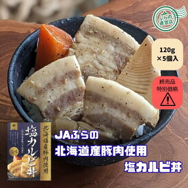 【訳あり】【賞味期限2026年11月以降】【希望小売価格3,350円の品 終売のため52％OFF!!】 ≪5個入≫ 北海道産豚肉使用 塩カルビ丼 （ 賞味間近 在庫処分 レトルト 北海道 富良野 国産 野菜 ご当地 グルメ どんぶり アウトレット レトルト フードロス セール 割引 特売 ）