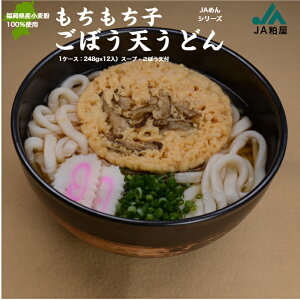 JAめん もちもち子ごぼう天うどん 福岡県産小麦粉100%使用 送料無料