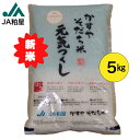 令和7年産 新米 かすやそだち米 元気つくし 5キロ 白米 5kg お米 国産 ご飯 おにぎり 送料無料