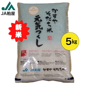 ߘa7NY V ₻ C 5L  5kg  Y  ɂ 