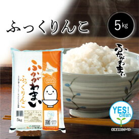 ◆令和5年産◆　YES！Clean　ふっくりんこ 白米　5kg　北海道深川市産 【送料無料】　お米　米　北海道産