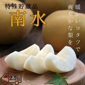  쐅y۔zi꒙ij2.5kg(6) R208 m①n Ȃ iV t[c  ʕ     v[g 蕨 Mtg t[cMtg  