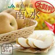 梨 南水 【 太鼓判 】 約 5kg (10〜14玉) R203 ※9月中旬〜発送予定 送料無料 なし ナシ フルーツ くだも…