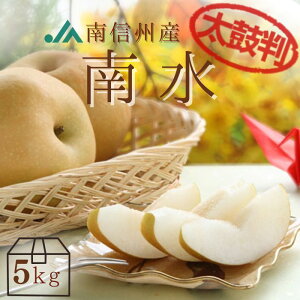  쐅 y ۔ z  5kg (10`14) R203 9{`\  Ȃ iV t[c  ʕ     蕨 t[cMtg Â x  M