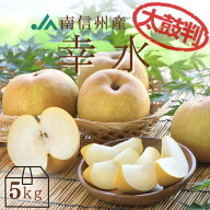 梨 幸水【太鼓判】約5kg(12〜16玉) R213 ※8月下旬〜9月上旬発送 送料無料 産地直送 なし ナシ フルーツ …