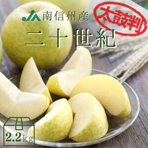  \I y۔z 2.2kg(7) R231 9{`\ 20I 20I Ȃ iV Zbg t[c  ʕ     v[g 蕨 t[cM