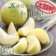 梨 二十世紀【太鼓判】約5kg(12～16玉) R233 ※9月上旬〜発送予定 なし ナシ 梨 フルーツ くだもの 果物 …
