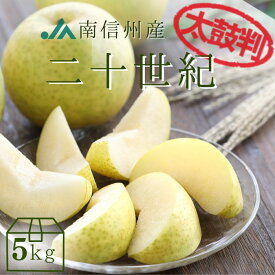 梨 二十世紀【太鼓判】約5kg(12～16玉) R233 ※9月上旬〜発送予定 なし ナシ 梨 フルーツ くだもの 果物 高級 美味しい おいしい お取り寄せ 贈り物 敬老の日 プレゼント JAみなみ信州 長野 青梨 産地直送 旬のフルーツ 信州