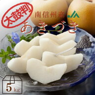 梨 あきづき【太鼓判】約5kg(12～16玉) R273 ※9月中旬〜9月下旬発送予定 送料無料 糖度保証 糖度13度以…