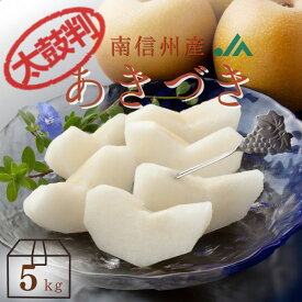 梨 あきづき【太鼓判】約5kg(12～16玉) R273 ※9月中旬〜発送予定 送料無料 なし ナシ フルーツ くだもの 果物 高級 美味しい おいしい お取り寄せ プレゼント 贈り物 高級フルーツ ギフト お祝い 長野 大容量 敬老の日 JAみなみ信州 長野 産地直送