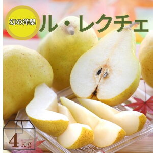 m EN`F  4kg (7`12) R282 11{`\ Ȃ iV t[c  ʕ     蕨 EN`F t[cMtg Â x 