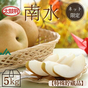  쐅y۔zi꒙ij5kg(12) R209 m①n Ȃ iV t[c  ʕ     v[g 蕨 Mtg t[cMtg  