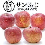 りんご 訳ありサンふじ　約10kg(24〜32玉) R336 ※11月下旬～発送 訳あり 訳アリ リンゴ わけあり 林檎 1…