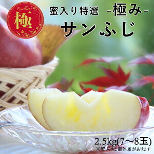 Iyɂ݁zTӂ 2.5kg(7`8ʓ) R339 11{`\  j t[cMtg ь S  t[c ƒp ʕ  t[c MB Mtg 