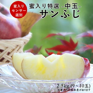 Iyʁz Tӂ 2.5kg(9`10ʓ) R338 11{`\    胊S  p Mtg 蕨 ΂  v[g Ε 