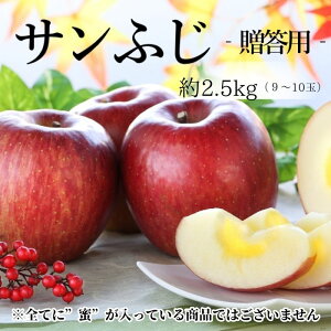りんご サンふじ【贈答用】約2.5kg(12〜16玉) R334 ※11月下旬〜発送予定 送料無料